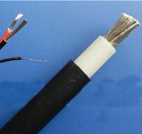 WDZ-DCK，WDZ-DCKP-125，DCEVM機車電纜